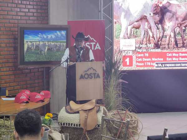 Hoy martes, Aosta Remates vende más de 700 vacunos de invernada por COPA TV