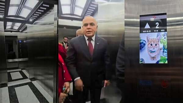 Bachi adjudicó “service” a empresa sospechosamente ligada con Astelev - Política - ABC Color