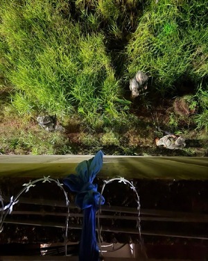 Fuga en Minga Guazú: Dos presos escapan del penal