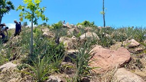 Paraíso Valenzuela: Turismo natural y tradición familiar