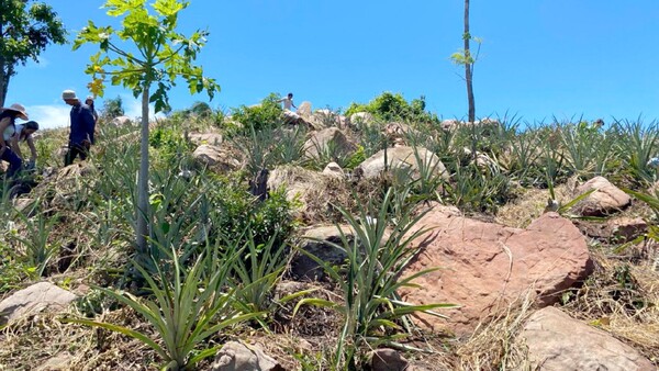 Paraíso Valenzuela: Turismo natural y tradición familiar
