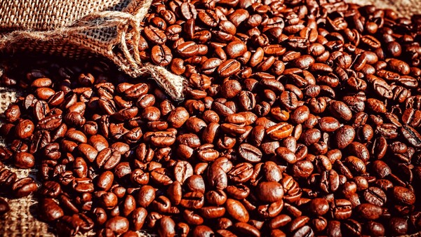 Brasil logra ingresos récords por exportación de café