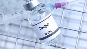 Brasil ya inmuniza contra el dengue con una vacuna propia - Concepción al Día