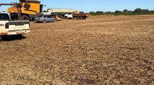 Popular / Con medida cautelar garantizan cosecha de soja ante amenaza de invasión 