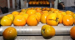 Paraguay amplia oferta en exportaciones de rubros agrícola