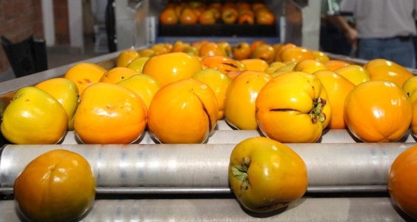 Paraguay amplia oferta en exportaciones de rubros agrícola