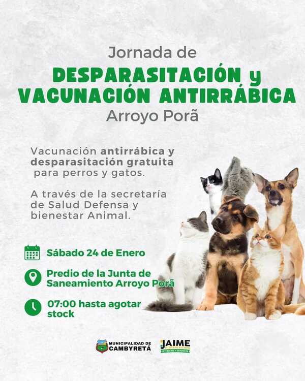 Jornada gratuita de desparasitación y vacunación antirrábica en Arroyo Porã