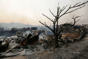 Fuego sin control en Chile: se decretó estado de catástrofe
