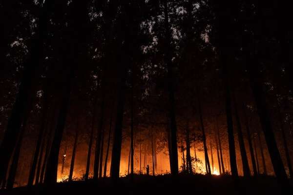 Elevan a 20 las víctimas de fuegos del sur de Chile y detienen a sospechoso de provocarlos - Mundo - ABC Color