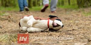 INVESTIGAN SUPUESTO RAPTO DE UNA MENOR EN PIRAPÓ