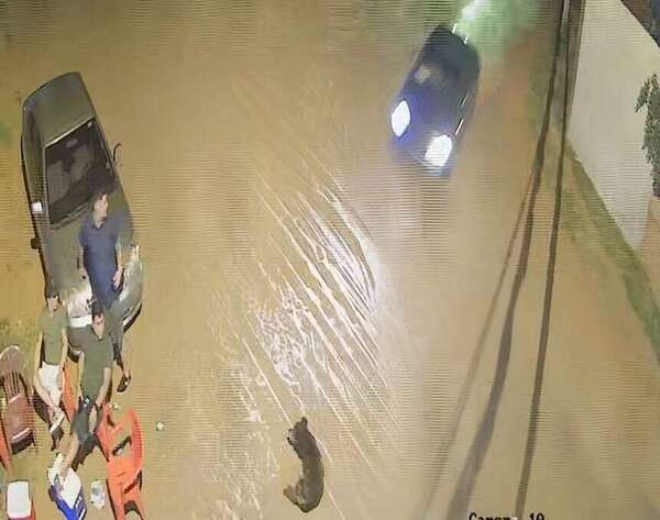 Arresto domiciliario para conductor que mató a un adulto mayor y su perro - Policiales - ABC Color