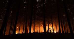 La Nación / Tregua del clima evita nuevas evacuaciones por incendios en Chile