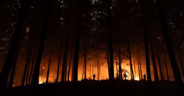 La Nación / Tregua del clima evita nuevas evacuaciones por incendios en Chile