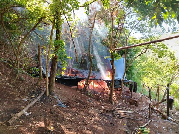 Operativo Escudo Guaraní destruye cultivos de marihuana en Cerro Corá - Concepción al Día