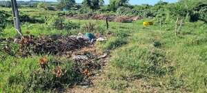San Juan Bautista: vecinos denuncia inacción de la Municipalidad para intervenir en patios baldíos - Nacionales - ABC Color