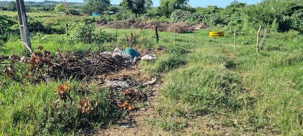 San Juan Bautista: vecinos denuncia inacción de la Municipalidad para intervenir en patios baldíos - Nacionales - ABC Color