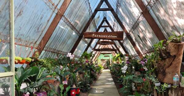 La Nación / MAG fusiona el cuidado de la naturaleza con la producción frutihortícola en Caacupé