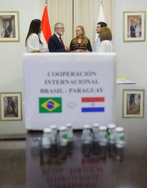 Salud incorpora sueros antiescorpiónicos para fortalecer respuesta ante emergencias