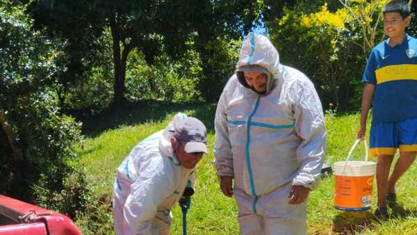 Operario del MOPC de 70 años sobrevive al ataque de más de 100 abejas