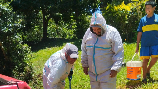 Operario del MOPC de 70 años sobrevive al ataque de más de 100 abejas - Noticiero Paraguay