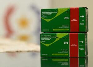 Salud incorpora suero antiescorpiónicos mediante cooperación con Brasil