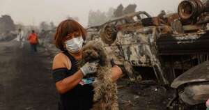 La Nación / Damnificados imploran ayuda entre las ruinas por incendios forestales en Chile