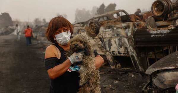 La Nación / Damnificados imploran ayuda entre las ruinas por incendios forestales en Chile