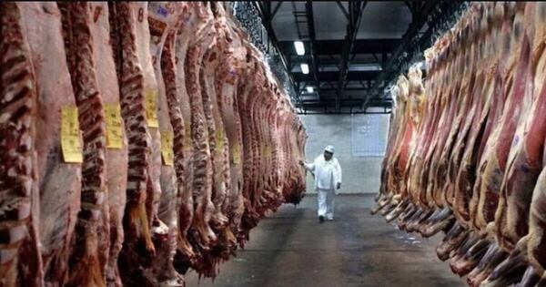 La Nación / Acuerdo UE-Mercosur permitirá a Paraguay diversificar exportación