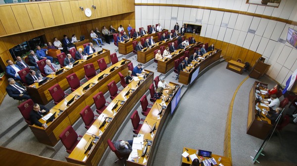 Reforma previsional: Parlamentarios revisarán su propia Caja