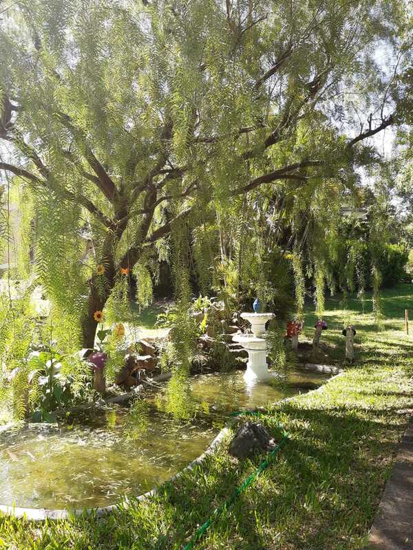 Caacupé: El nuevo polo de integración frutihortícola