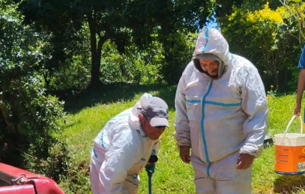 Operario de 70 años sobrevive a 100 picaduras de abejas