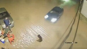 Video clave muestra que el joven que atropelló a un abuelo en Luque iba a gran velocidad