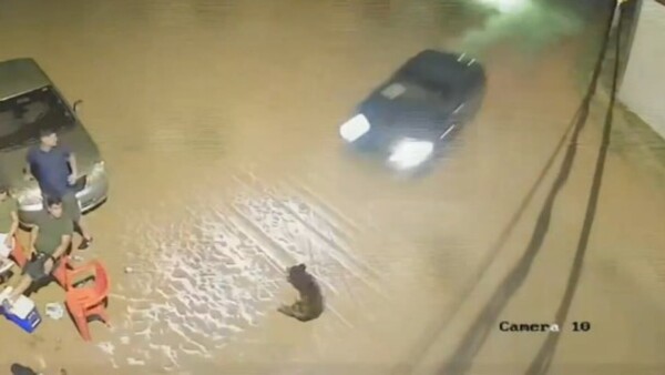 Video clave muestra que el joven que atropelló a un abuelo en Luque iba a gran velocidad