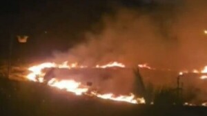 Bomberos controlan incendio en parque ecológico de Fernando de la Mora