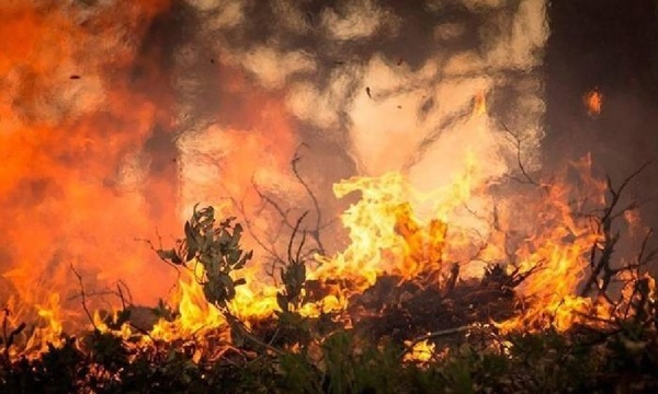 Fuego consumió pastizales y basura en el Parque Ecológico de Fernando de la Mora - OviedoPress
