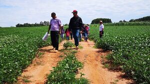 Productores rechazan gravar granos para cubrir déficit de la Caja Fiscal