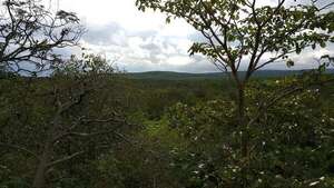 Focos de calor: Mades alerta sobre 10 puntos detectados en áreas protegidas - Nacionales - ABC Color