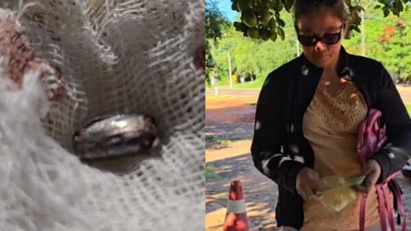 Matan de un balazo a un perro: la dueña pide justicia