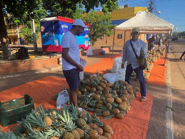 Productores siguen ofertando piñas en Concepción - ABC Rural - ABC Color