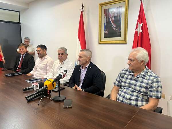 Pedro Halley se lanza a la concejalía de Asunción por Colorado Añetete - Política - ABC Color