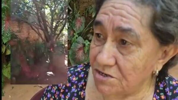 Doña denuncia a su vecino carpintero: Ya no aguanta el ruido y el polvo que llega a su casa