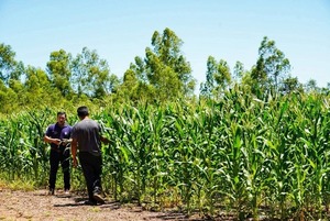 La Gobernación de Itapúa impulsa el desarrollo rural con el Programa de Agricultura Sostenible
