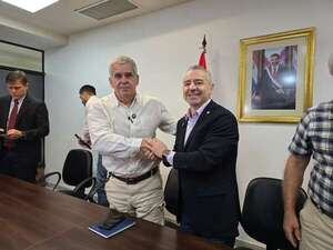 AUDIO. Pedro Halley será precandidato a concejal por el abdismo - Ancho Perfil - ABC Color