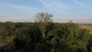 Paraguay presentó oficialmente su nueva hoja de ruta para la conservación de la biodiversidad - ADN Digital