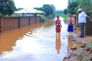Gates y OpenAI: USD 50 millones para la salud en África