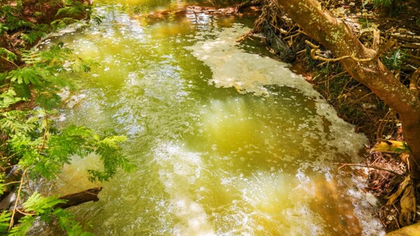 Ordenan frenar vertido de residuos en arroyo Acaraymí