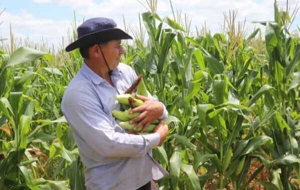 Popular / Indert afianza la producción campesina con apoyo del sector privado 