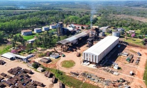 Cañicultores piden audiencia a Petropar por el futuro de la planta de Troche - OviedoPress