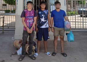 Detienen a jóvenes por robo y violación de arresto domiciliario en barrio Primavera - Concepción al Día