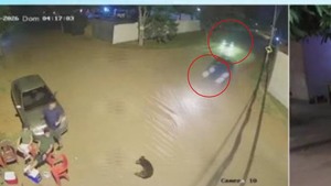 Se presenta segundo conductor en caso de muerte de un abuelo y su perro por imprudencia